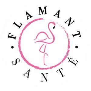 Logo Flamant